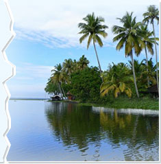 Tour Operator in Kerala offer  Kerala tour packages, houseboats Kerala, backwaters Kerala, tree house Kerala, homestay Kerala